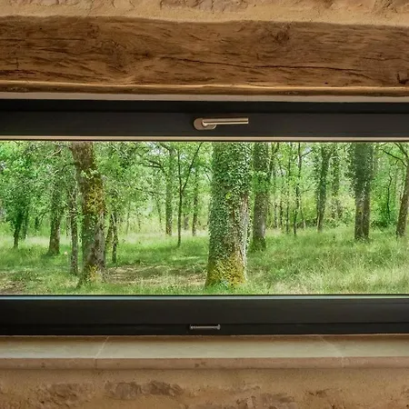 Apartamento La Grange - A Peaceful Place In The Forest Concots