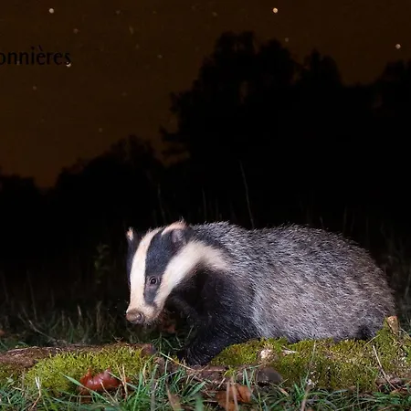 La Grange - A Peaceful Place In The Forest *