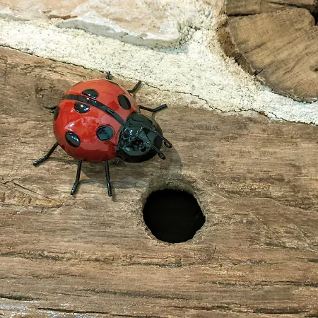 La Grange - A Peaceful Place In The Forest Daire *